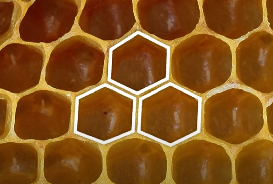 Bee honeycomb structure